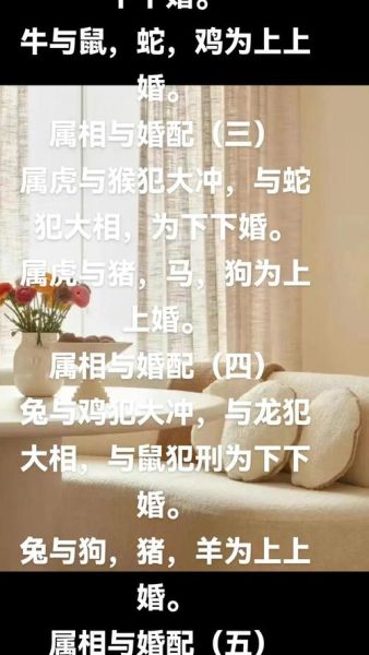 同属相鼠结婚好吗_属鼠夫妻相处秘诀