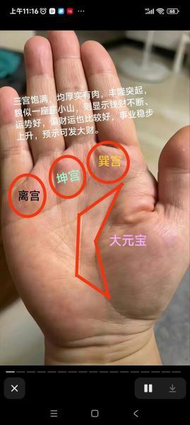 财运线怎么看_田字纹手相图解
