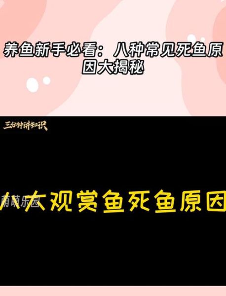 鱼死了对财运有影响吗_如何破解