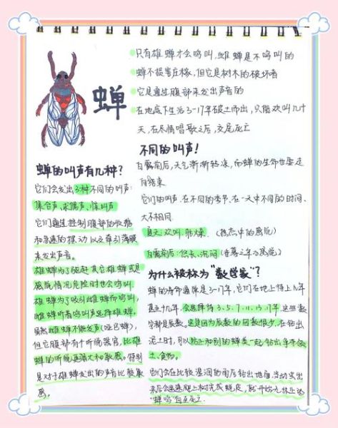 梦到知了壳是什么意思_知了壳梦境解析