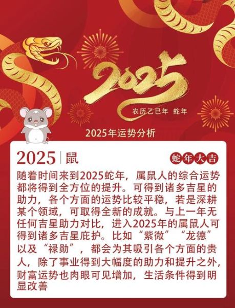 2008年属鼠运势如何_2008年属鼠2025年学业运