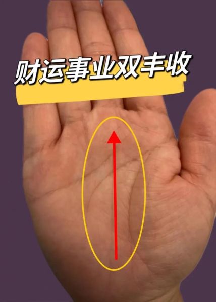 财运线上有分叉是什么意思_手相分叉图解