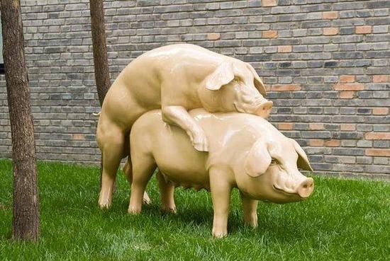 男猪女狗属相相配财运_男猪女狗合财吗