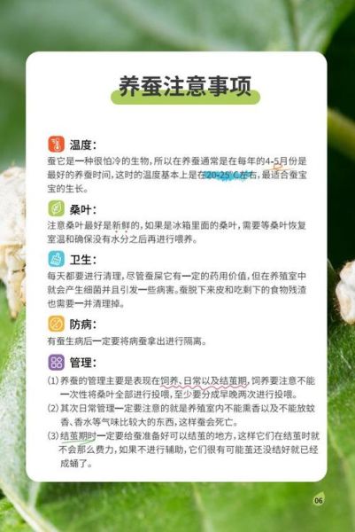 梦到喂蚕是什么意思_梦见喂蚕好不好