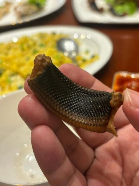 梦到吃黄鳝是什么意思_梦到吃黄鳝预示着什么