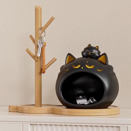 黑猫能带来财运吗_黑猫招财风水讲究