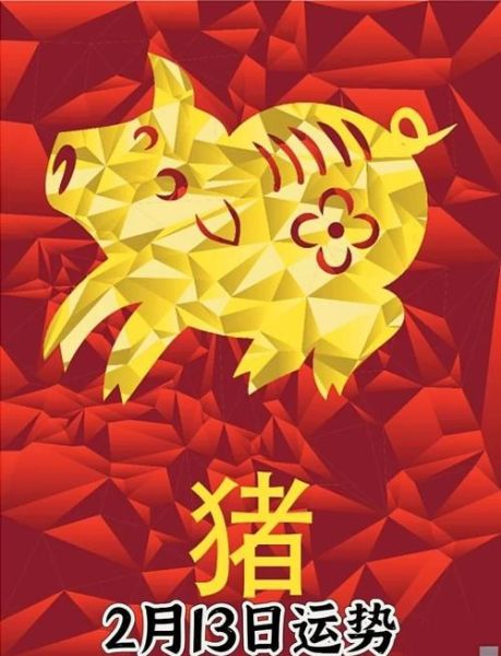 2019年属猪每月运势详解_属猪人2019年每月财运如何