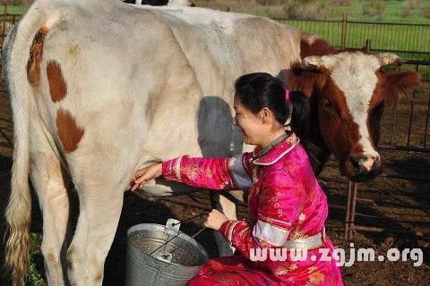 梦见挤奶是什么意思_梦到自己挤奶预示什么