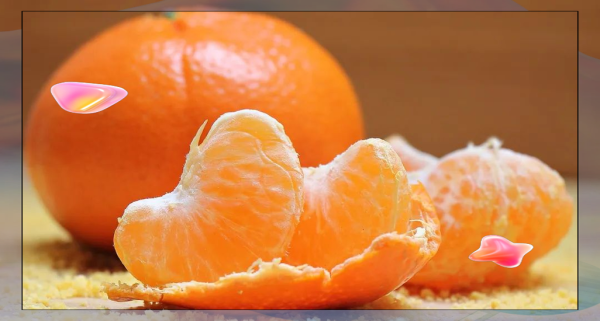 梦到橘子树是什么意思_橘子树梦境解析