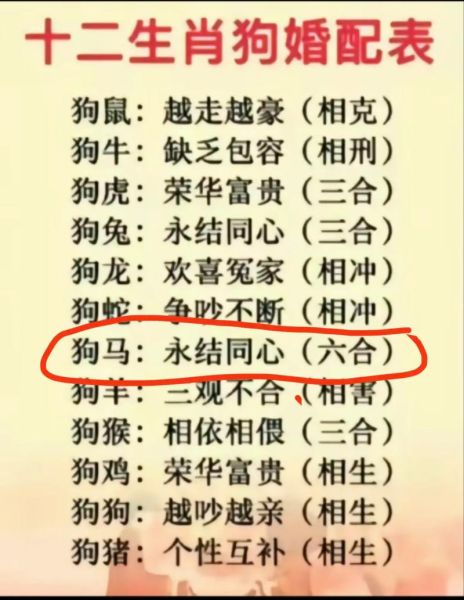 马和狗属相财运合不合_生肖配对财富解析