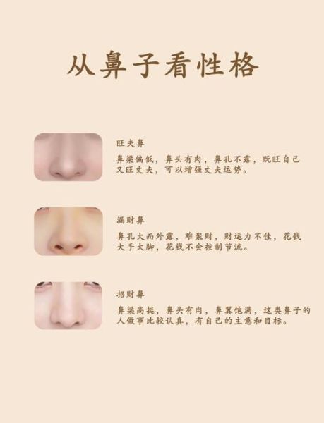 鼻孔微露会影响财运吗_如何改善面相提升财气