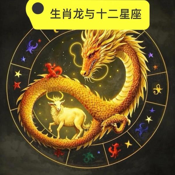 龙属相最配什么属相_龙和哪个属相最合