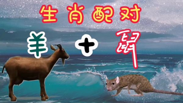 属羊和属鼠的能一起喝酒吗_属羊属鼠喝酒合不合