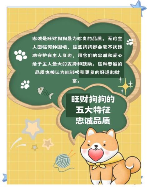 狗财运方位在哪里_如何提升狗狗招财风水