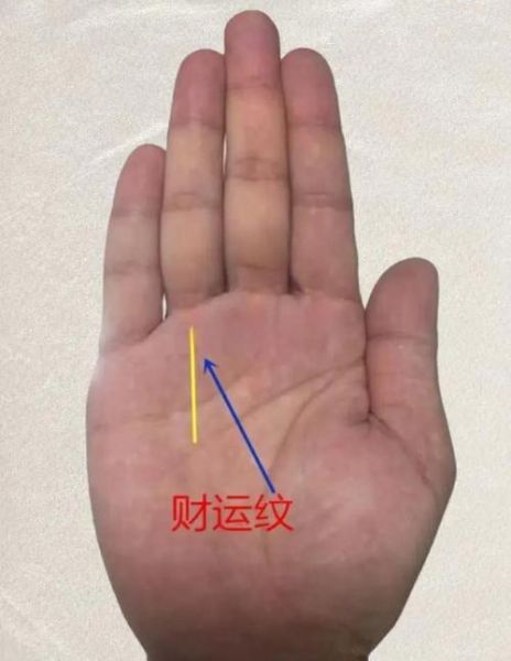 算财运看手相准吗_手相财运线怎么看