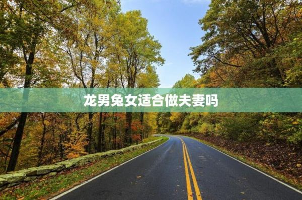 龙和兔属相合不合_龙兔婚配好吗