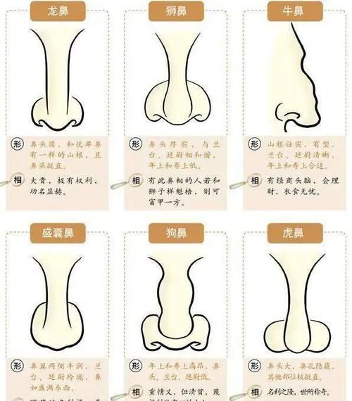 财运好的面相特征有哪些_如何通过长相看财运