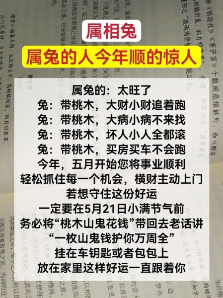 属兔鼠年财运如何_属兔鼠年财运提升方法