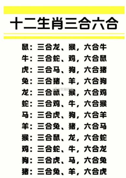 生意属相搭档_哪些生肖组合最旺财运