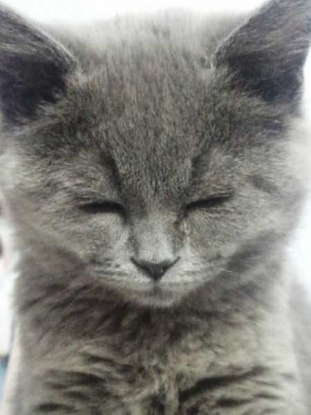 梦到自己眼睛睁不开_意味着什么