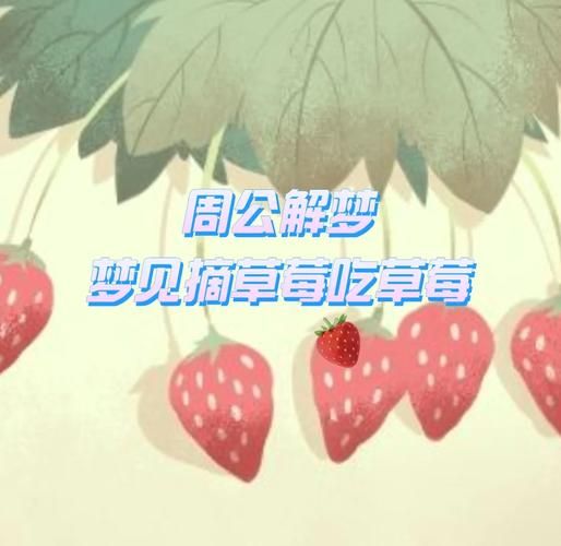 梦到摘草莓是什么意思_梦见摘草莓预示什么