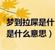 梦到男孩拉屎是什么意思_梦见小男孩大便预示什么
