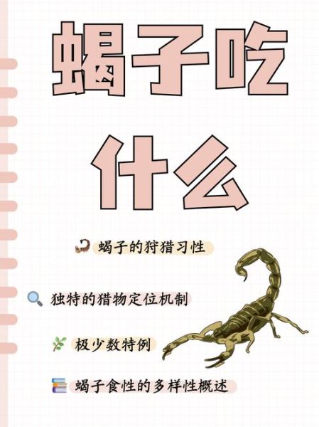 梦到蜈蚣蝎子是什么意思_梦见蜈蚣蝎子预示什么