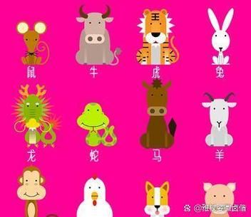 空的属相是什么_空生肖有哪些说法