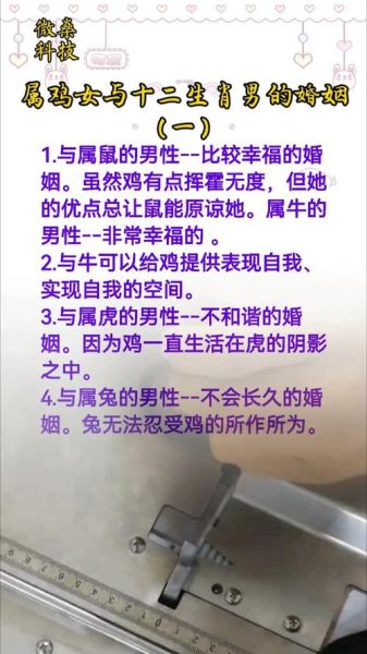 马和鸡属相合不合_婚姻配对分析