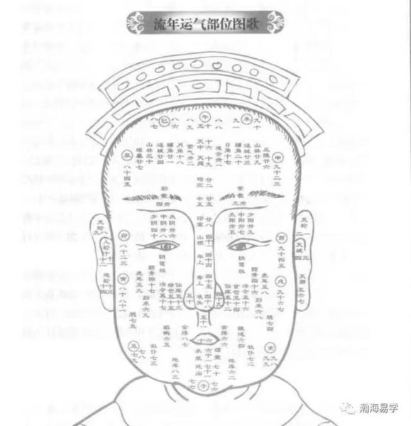 面部流年运势图怎么看_面部流年运势图准吗