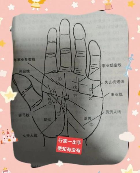 财运线手相图解_财运线怎么看