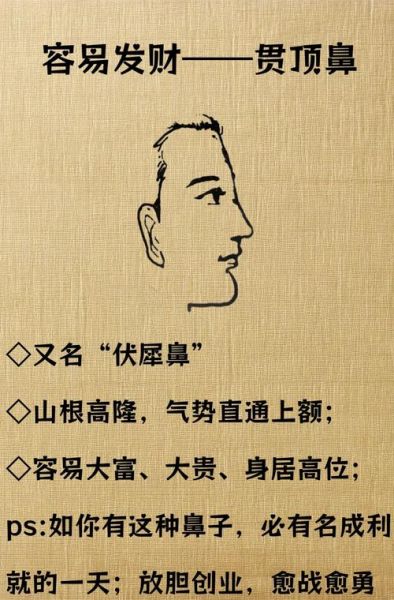 高鼻子财运_高鼻梁真的招财吗