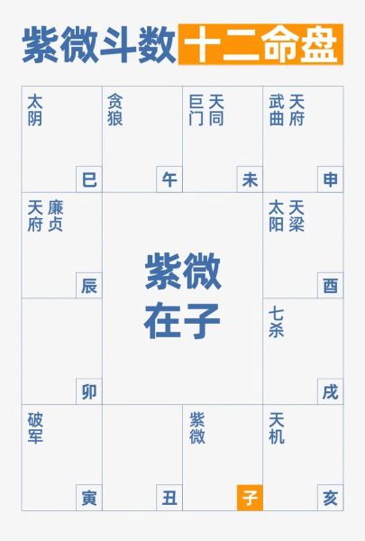 紫薇命盘看财运_哪些星曜最旺偏财