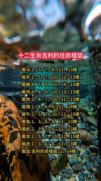 楼层和属相真准吗_楼层风水与生肖关系