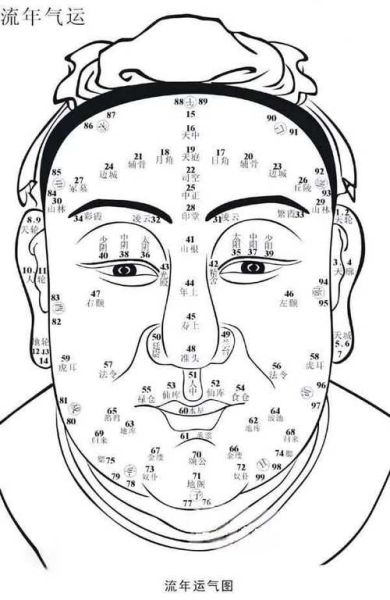 面相运势图怎么看_面相运势图准吗