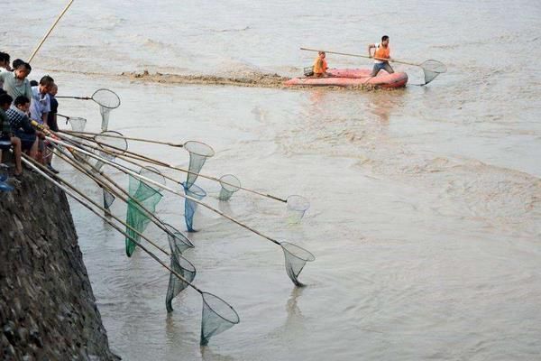 梦到自己在河里写作_有什么寓意