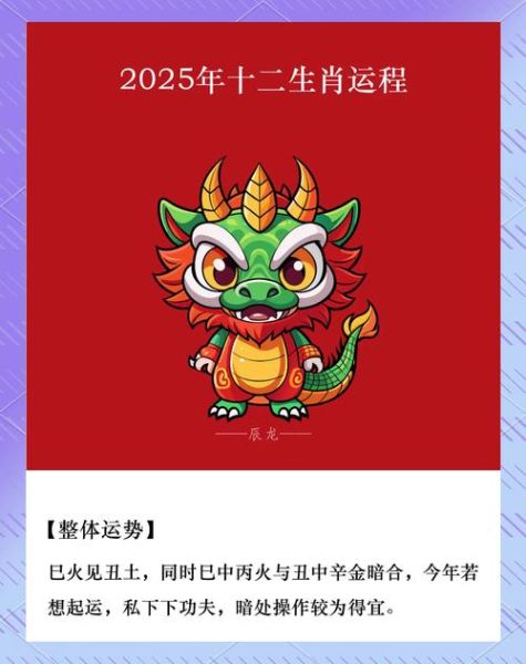 属龙2025年运势如何_属龙人今年适合换工作吗