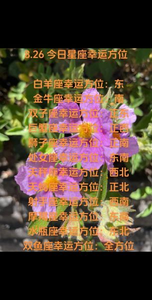 白羊座今日运势如何_白羊座今日幸运色是什么