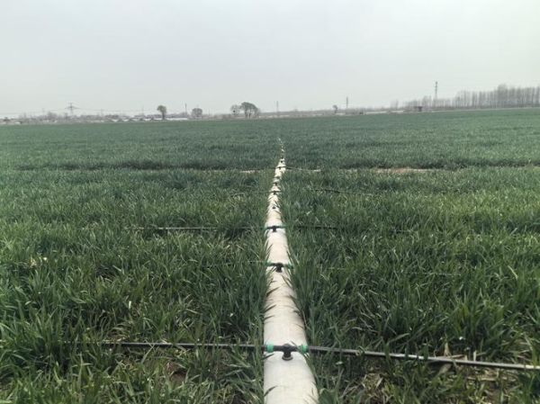 梦到灌溉是什么意思_梦见灌溉农田好不好