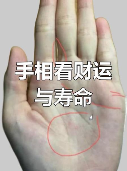 财运线和财运纹的区别_手相怎么看财运线