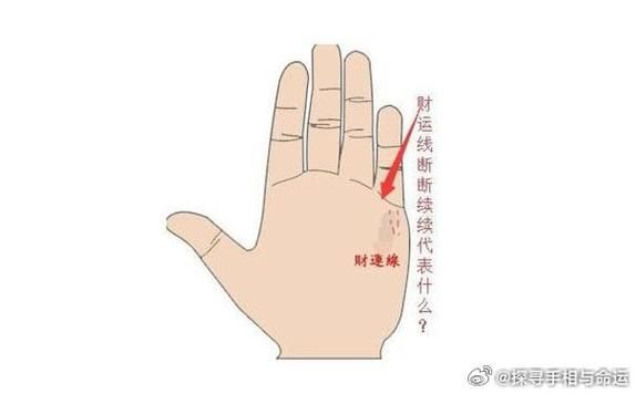 男人财运线在哪_财运线怎么看图解