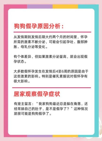 孕妇梦到一群狗_胎梦寓意解析