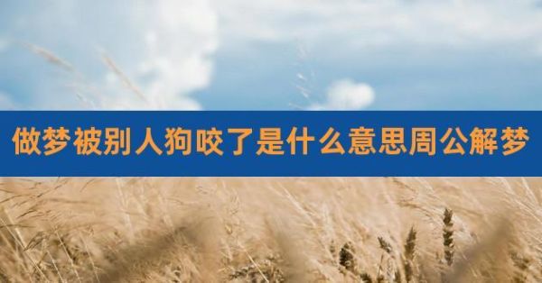梦到被狼狗咬_是什么意思