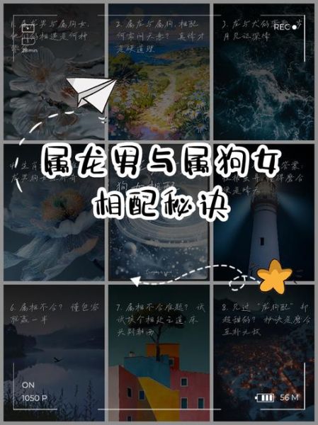 龙和狗相冲怎么办_属龙属狗相克如何化解