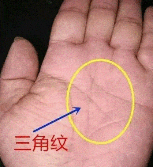 财运线上有交叉_代表什么