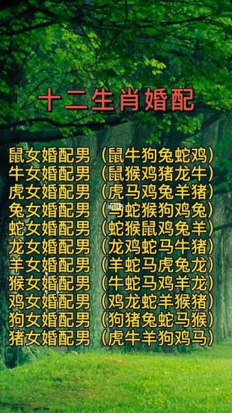 猴年婚配属相_属猴最佳配偶是谁