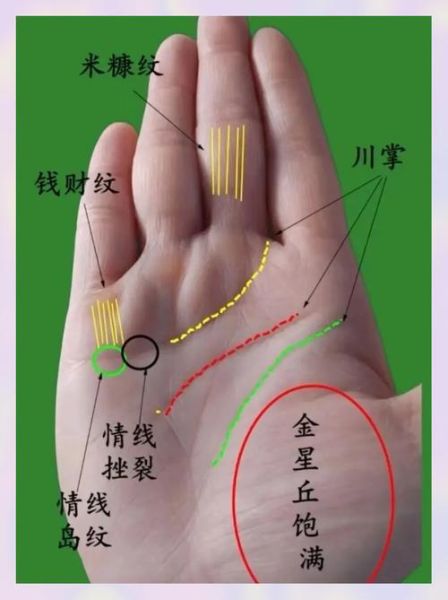 金星丘丰满财运_手相财富线怎么看