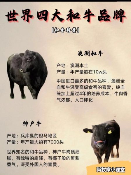 牛牛属相合吗_牛和牛在一起合适吗