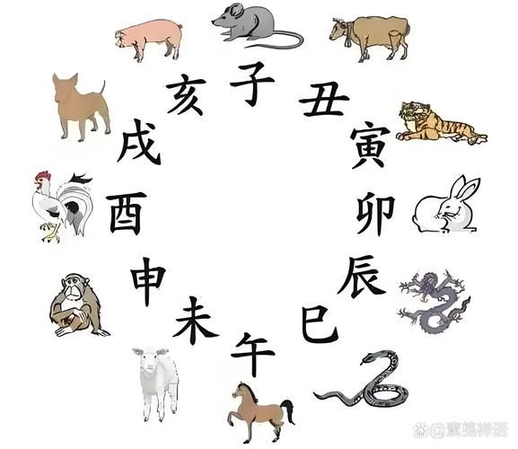 震宫属相是什么_震宫生肖有哪些