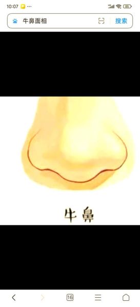 鼻头红财运不好_鼻头红影响财运吗